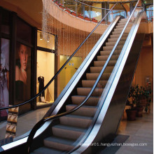 High Quality Home Escalator Price from STAR Elevator Group